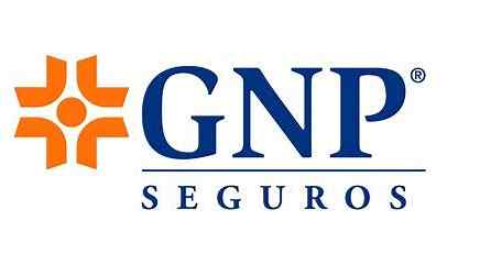 LOGO GNP.jpeg