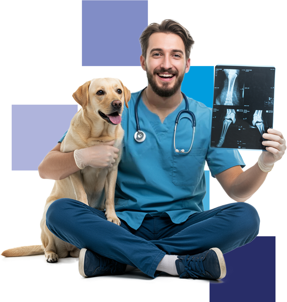 Principal Cirugia Veterinaria.png