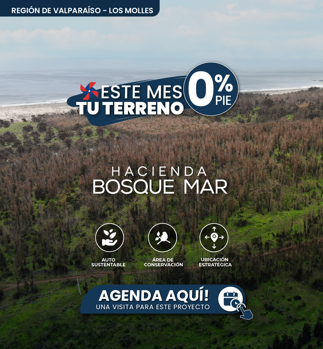 GRAFICA LANDING ESCALA-08.png