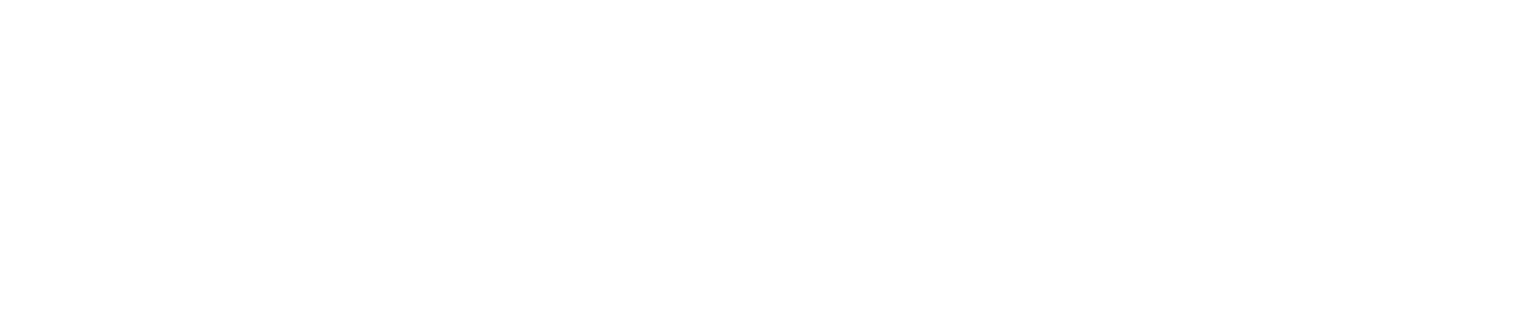 logo blanco-15.png