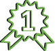 iconos-lp5.png