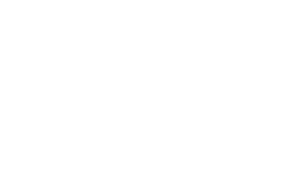 logo blanco.png