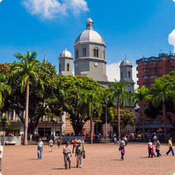 pereira 1.png