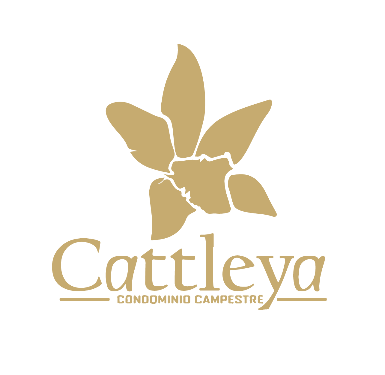 LOGO CATTLEYA.png