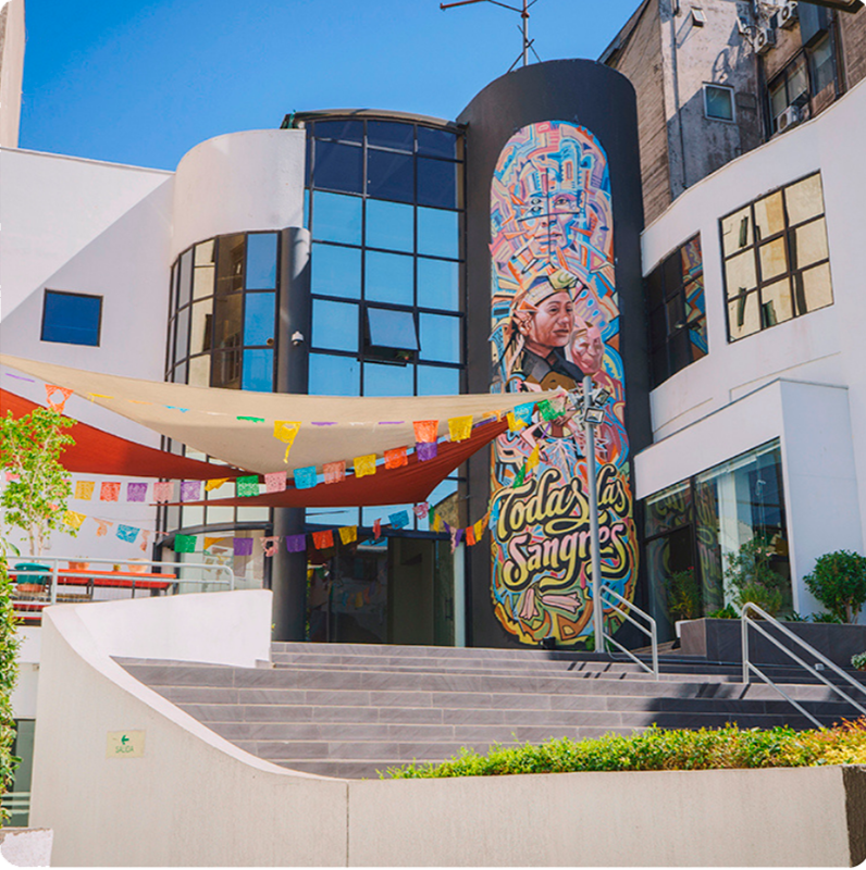 patio cce marco rosa.png