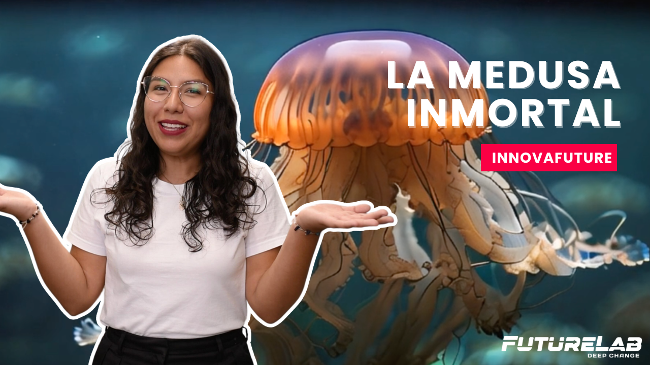 Portadas de youtube future lab (1).png