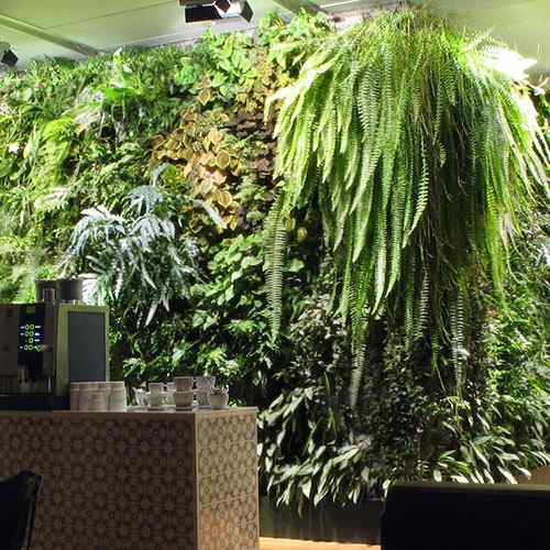 Minigarden_Vertical_pic3.jpg